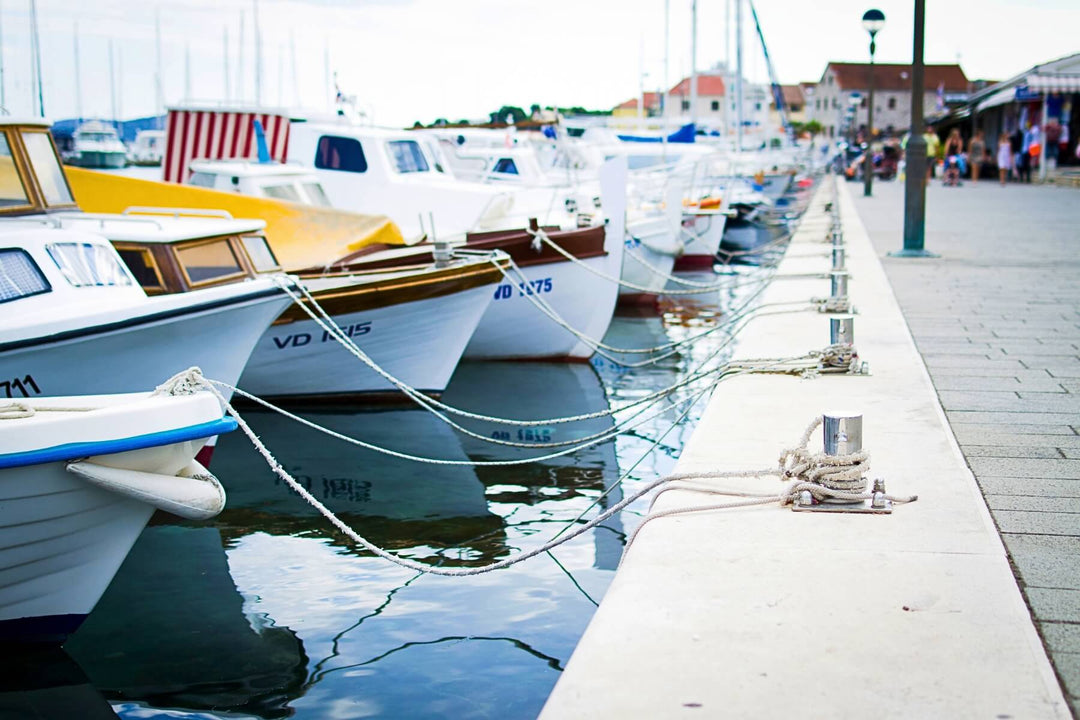 Boats in a marina